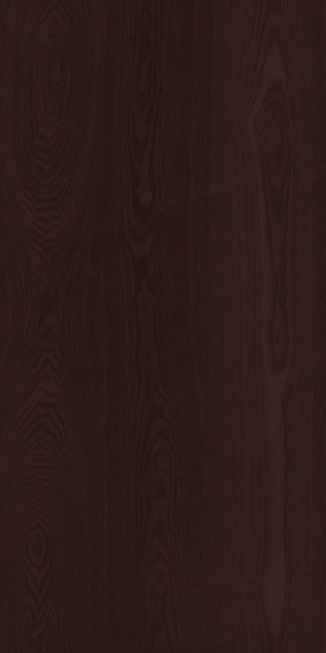 ModernWood Texture