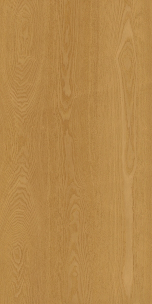 ModernWood Texture