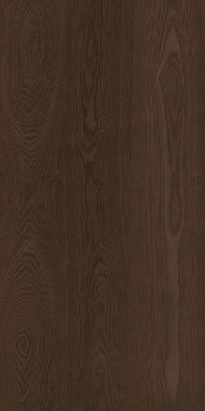 ModernWood Texture