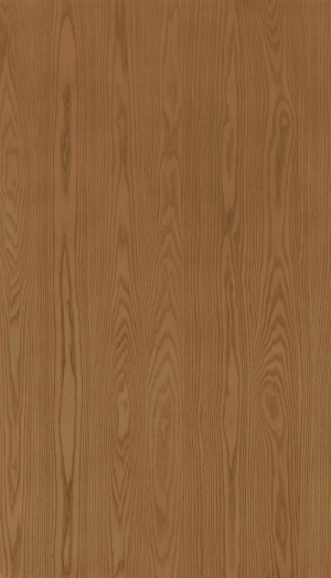 ModernWood Texture