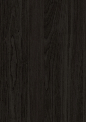 ModernWood Texture