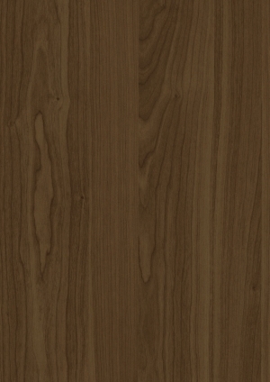 ModernWood Texture