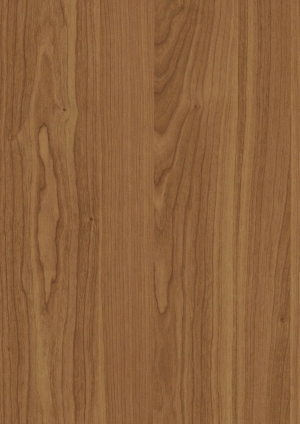 ModernWood Texture