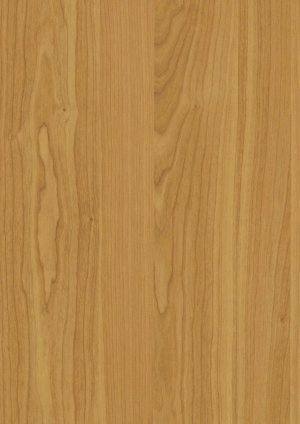ModernWood Texture