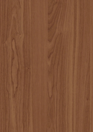 ModernWood Texture