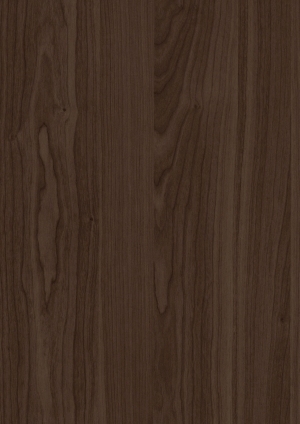 ModernWood Texture