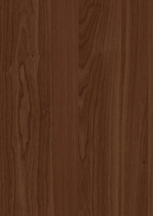 ModernWood Texture