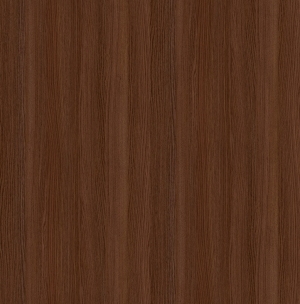 ModernWood Texture