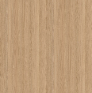 ModernWood Texture