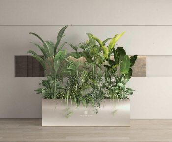 Modern Plant Landscaping-ID:303967952