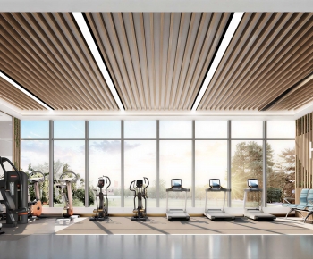 Modern Gym-ID:333941074