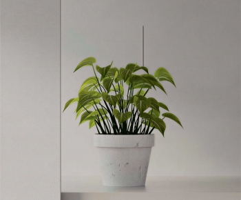 Modern Ground Green Plant Potted Plants-ID:822736988