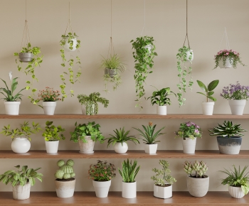 Modern Potted Green Plant-ID:667269955