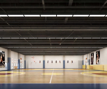 Modern Indoor Stadium-ID:450190071