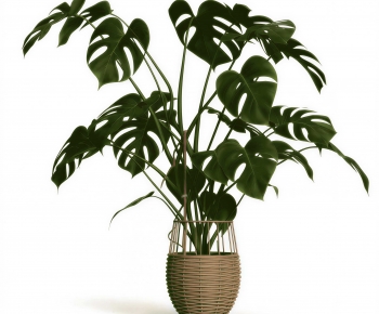 Modern Potted Green Plant-ID:435781002