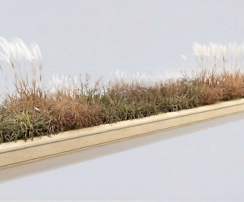 Modern Shrubbery-ID:486267096