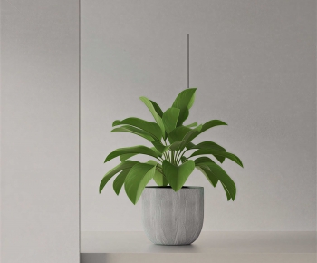Modern Potted Green Plant-ID:683648113