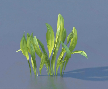 Modern Plant-ID:153070931