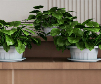Modern Ground Green Plant Potted Plants-ID:617145069