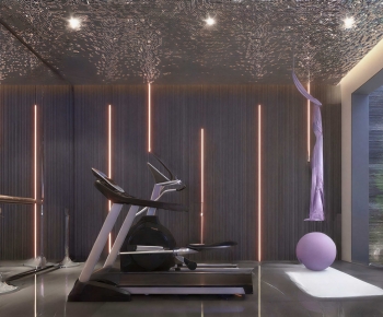 Modern Home Fitness Room-ID:831192029