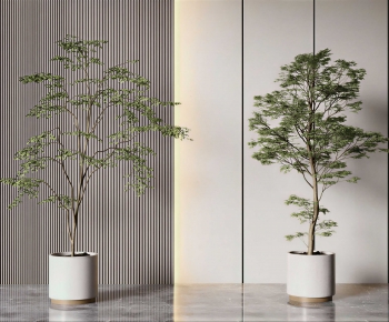 Modern Potted Green Plant-ID:170331005