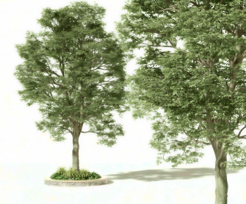 Modern Tree-ID:217402949