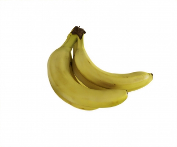 Modern Fruit-ID:361089943