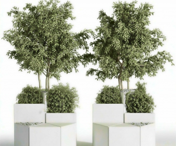 Modern Flower Bed, Flower Bowl, Flower Box-ID:597554924