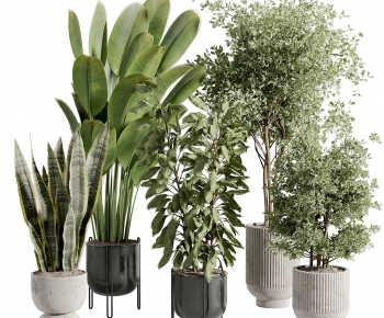 Modern Ground Green Plant Potted Plants-ID:228420022