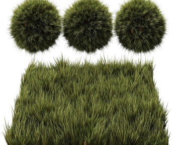 Modern The Grass-ID:228979115