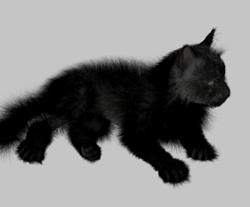 Modern Animal Cat-ID:151124009