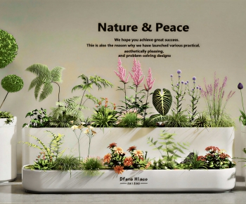 Modern Plant Landscaping-ID:587990054
