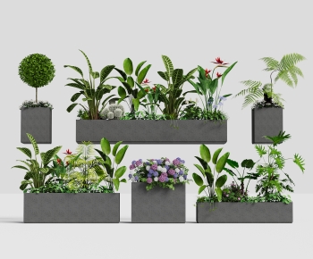 Modern Flower Bed, Flower Bowl, Flower Box-ID:827900894