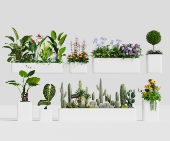 Modern Flower Bed, Flower Bowl, Flower Box-ID:999407055