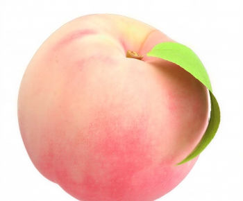 Modern Fruit-ID:494642975