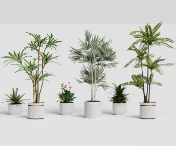 Modern Ground Green Plant Potted Plants-ID:519821889
