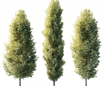 Modern Tree-ID:249870063