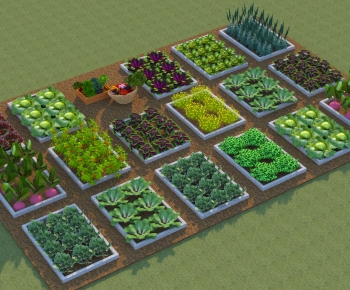 Modern Crop-ID:173342946