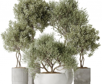 Modern Ground Green Plant Potted Plants-ID:566373114