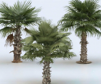 Modern Tree-ID:988590966