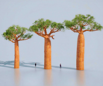 Modern Tree-ID:738866094