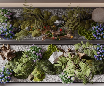 Modern Plant Landscaping-ID:708369978
