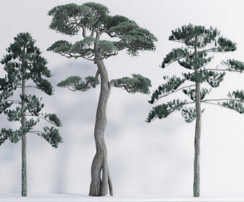 Modern Tree-ID:991585027
