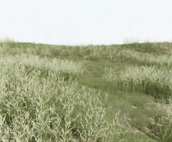 Modern Flowers And Grass-ID:208981991