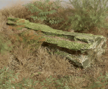 Modern Wood-ID:316119215