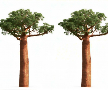 Modern Tree-ID:575557955