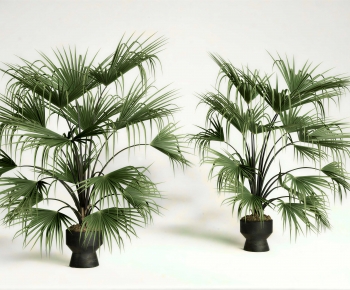 Modern Potted Green Plant-ID:627119065