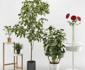 Modern Potted Green Plant-ID:907711983