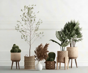 Modern Ground Green Plant Potted Plants-ID:765002019