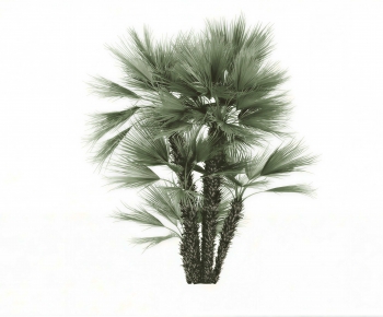 Modern Shrubbery-ID:630399948